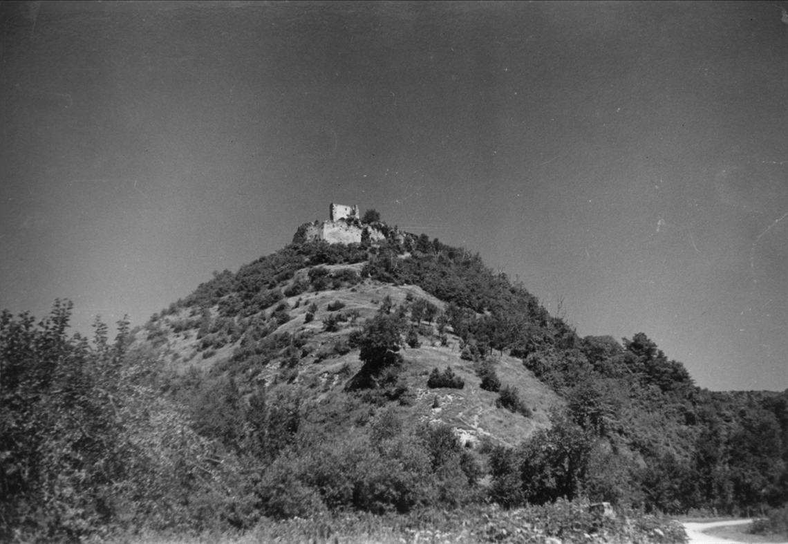 Image description